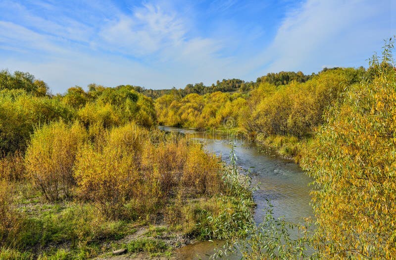 Idilliaco brillante paesaggio autunnale multicolore con un piccolo fiume forestale veloce immagini stock Idilliaco brillante paesaggio autunnale multicolore con un piccolo fiume forestale veloce immagini stock