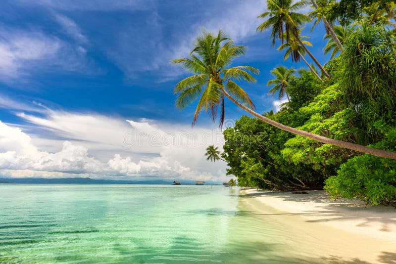 Idillyc landscape of tropical beach - calm ocean, palm trees, blue sky