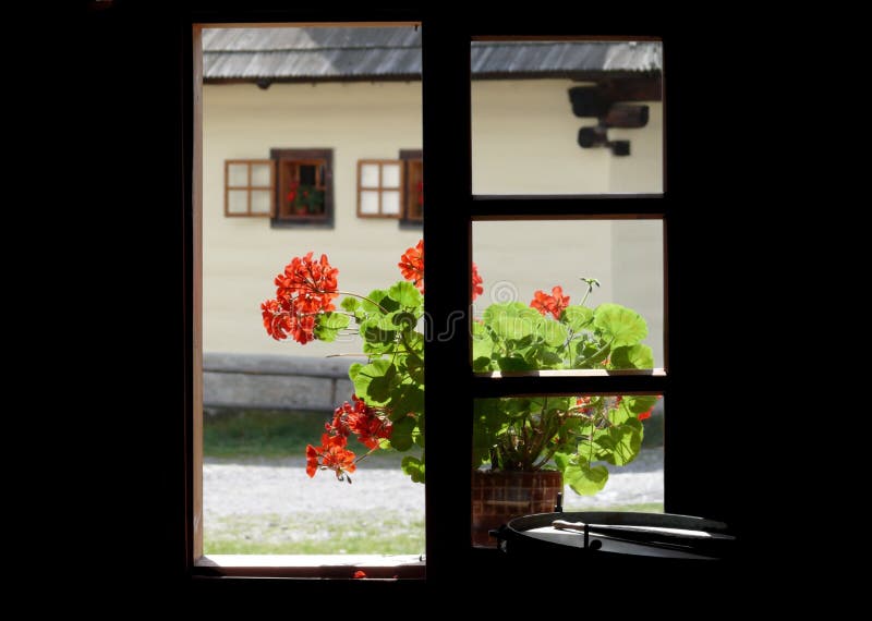 Idyll view through red flowers window