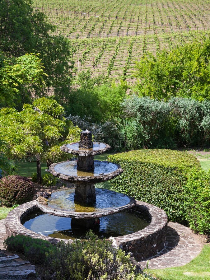 Beautiful landscape with water fountain and vineyards in Napa Valley, California. Beautiful landscape with water fountain and vineyards in Napa Valley, California.