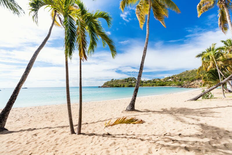 Idyllic tropical Carlisle bay beach with white sand, turquoise ocean water and blue sky at Antigua island in Caribbean. Idyllic tropical Carlisle bay beach with white sand, turquoise ocean water and blue sky at Antigua island in Caribbean