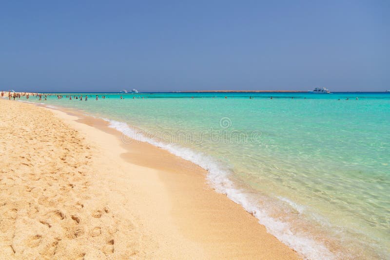 Idyllic Beach with Turquoise Water in Egypt Stock Photo Image of