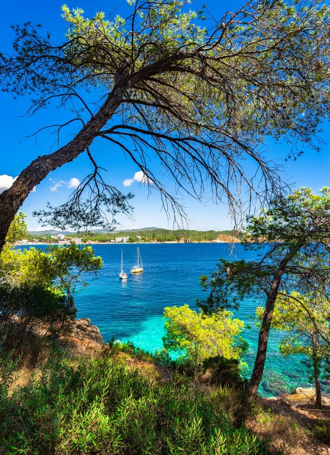 Beautiful island scenery, mediterranean sea bay with boats at the coast of Cala Fornells, Spain Mallorca. Beautiful island scenery, mediterranean sea bay with boats at the coast of Cala Fornells, Spain Mallorca.