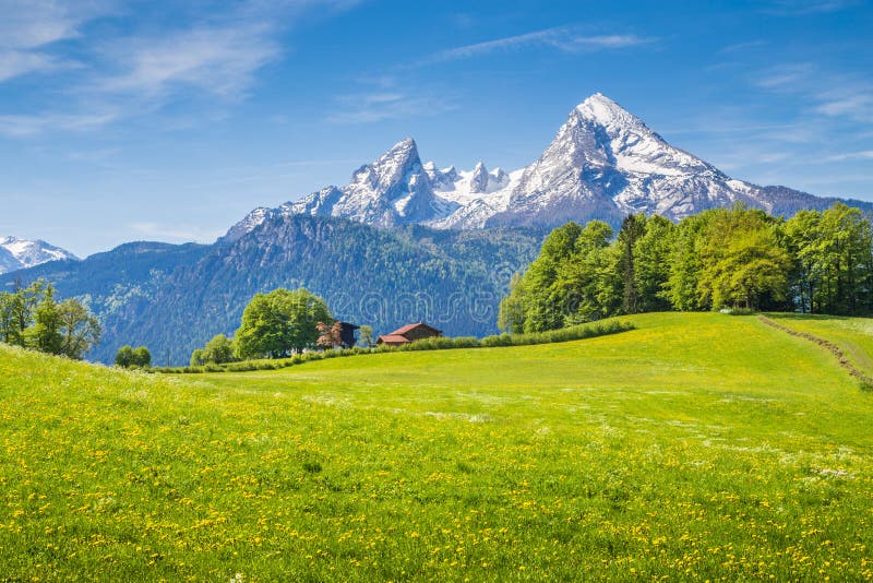 Idyllic Landscape In The Alps With Green Meadows And Flowers Stock