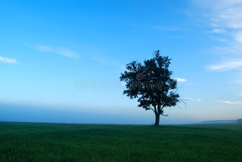 Idyllic landscape - morning