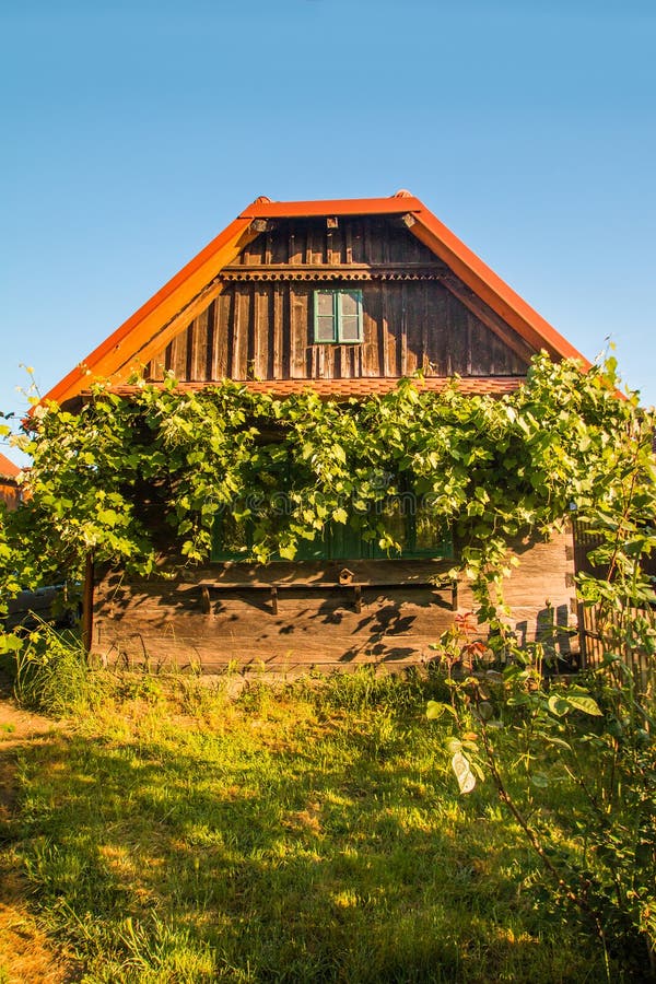Wooden House with Wine Plant in Lonjsko Polje, Croatia Stock Photo ...