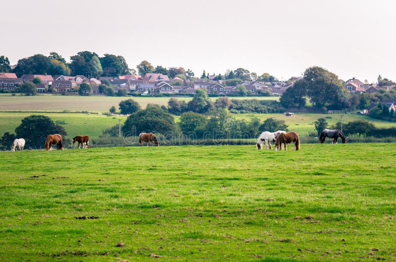 Idyllic Rural Landscape in England