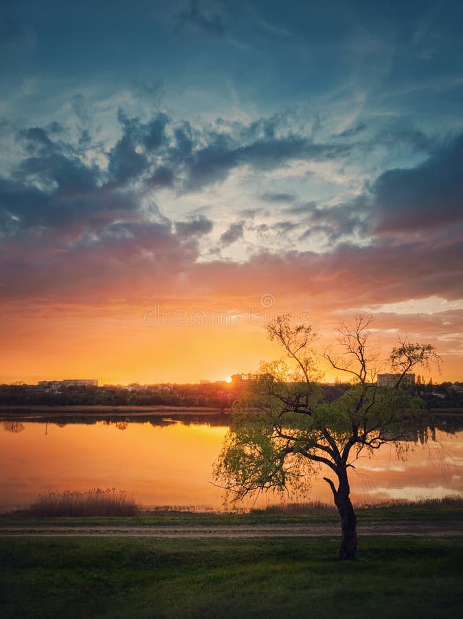 Idyllic rural landscape. Spring sunset reflecting over the lake and a greening willow tree on the meadow near the country road.