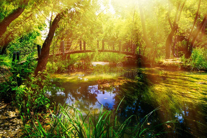 Idyllic Scenario With A Mountain River Stock Photo Image Of Ecology