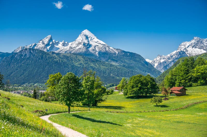 Idílico verano en Alpes fresco verde montana pastos a montana tableros en, países, Baviera, alemania.