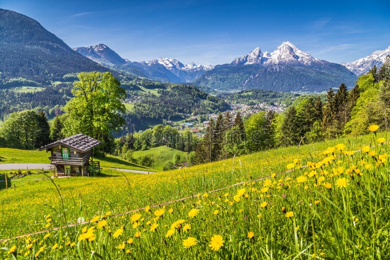 Panorámico de idílico montana en Alpes fresco verde montana pastos flores a viejo tradicional montana presentar en primavera.