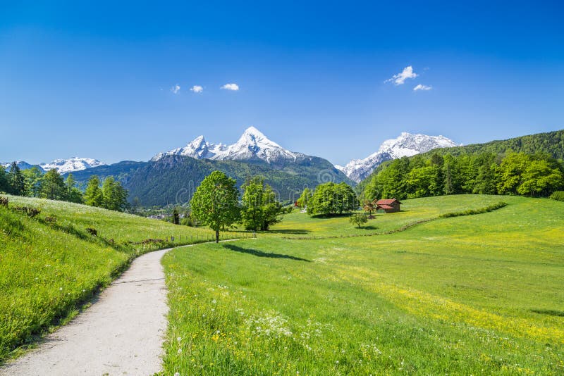 Idyllic summer landscape in the Alps, Nationalpark Berchtesgaden, Bavaria, Germany
