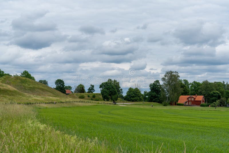 Tpical  Swedish countryside landscape with expansive wheat fields and red farmstead hosues