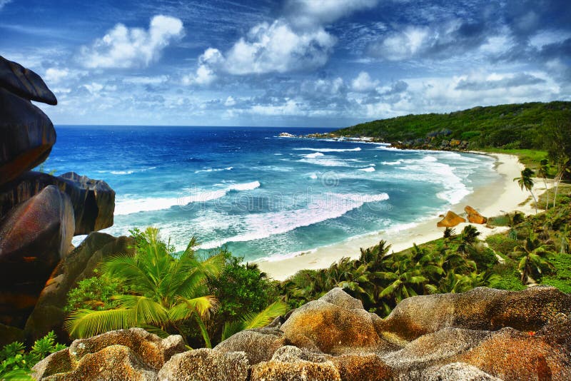 Idyllic tropical beach stock image Idyllic tropical beach stock image