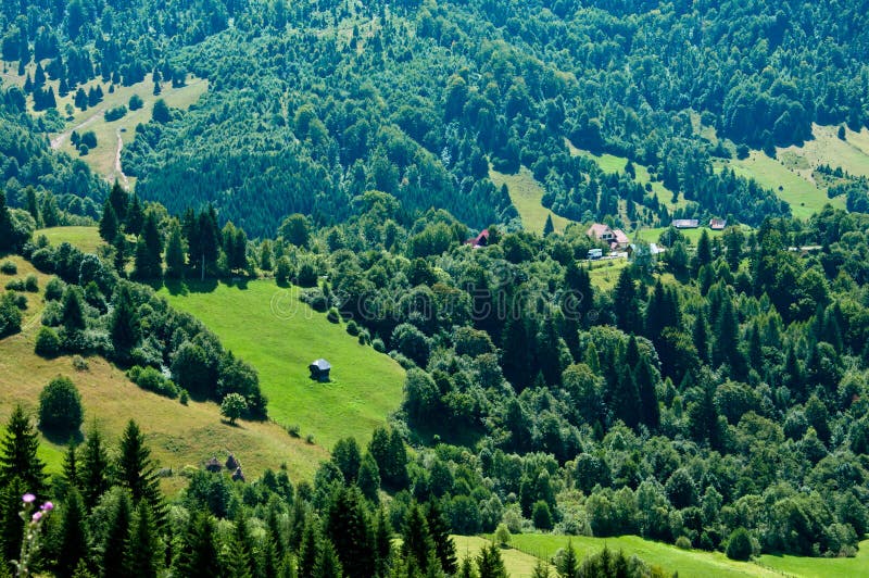Idyllic View of a Green Valley in Rural Romania Stock Image Image of