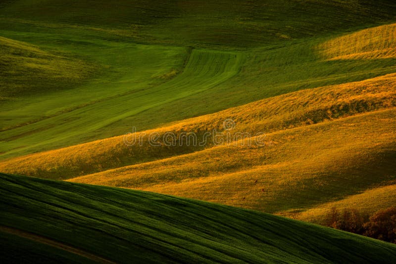Idyllic view of hilly farmland in Tuscany in beautiful morning light, Italy. Landscape in the Italy. Morning light in the field.