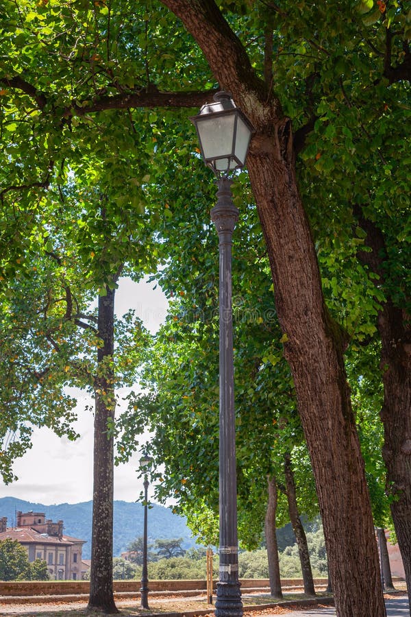 Idyllic view of a lantern in a park on the old city wall of Lucca, Italy. royalty free stock photography