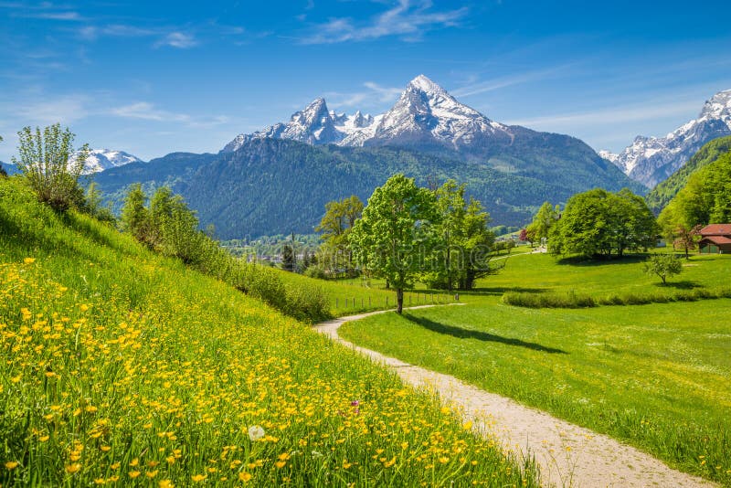 Idyllisch de lentelandschap in de Alpen met weiden en bloemen