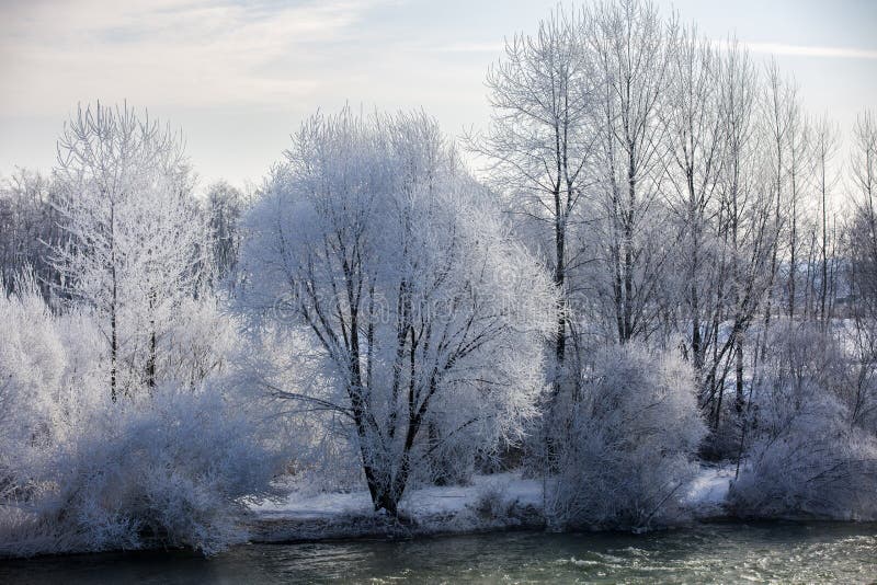 Idyllisch de winterlandschap met bomen stock foto's