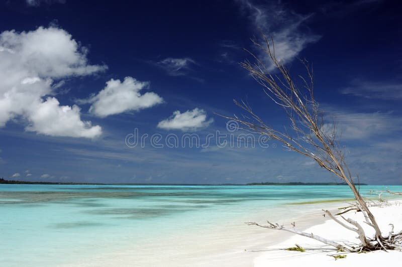 Idyllisch strand in Nieuw-Caledonië