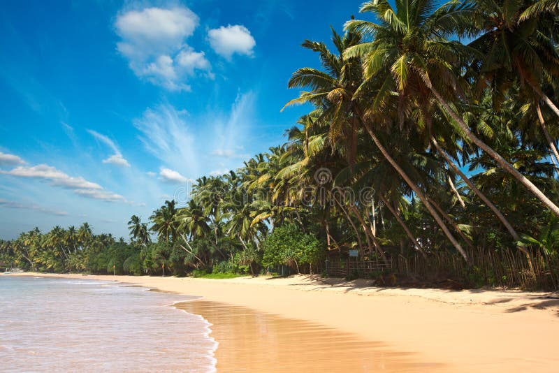 Idyllisch strand. Sri Lanka