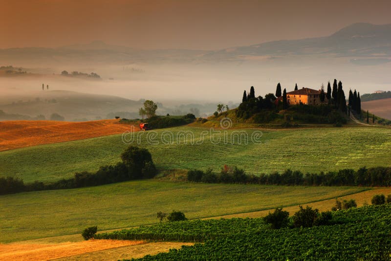 Idyllische Ansicht des hügeligen Ackerlands in Toskana im schönen Morgenlicht, Italien Nebelige Landschaft in Toskana Belvedere i lizenzfreie stockfotografie