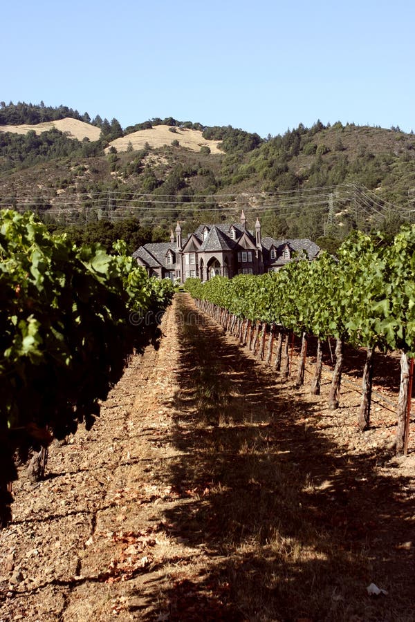 Idyllische wijngaarden met victorian druivenkashuis