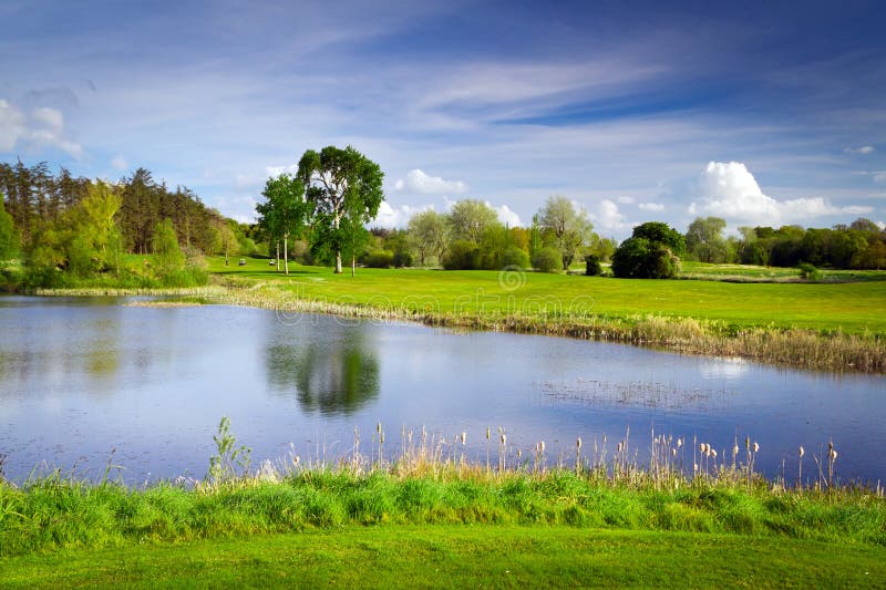 Idyllischer Golfplatz in Dem Teich Stockbild Bild von freizeit