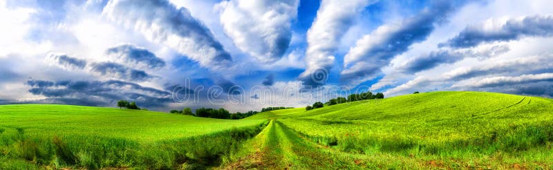 Idylliska gröna fält och molåda panorama