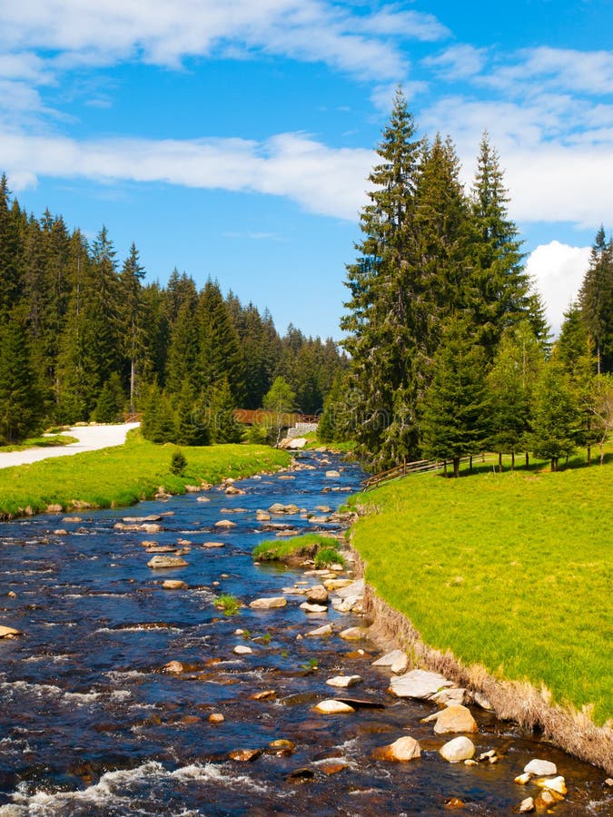 Idylliskt landskap med den lugna bergfloden på solig dag Vitstenar och gröna ängar och träd Sumava nationalpark arkivfoton Idylliskt landskap med den lugna bergfloden på solig dag Vitstenar och gröna ängar och träd Sumava nationalpark arkivfoton