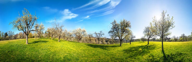 Idylliskt panorama på landsbygden på en solig dag