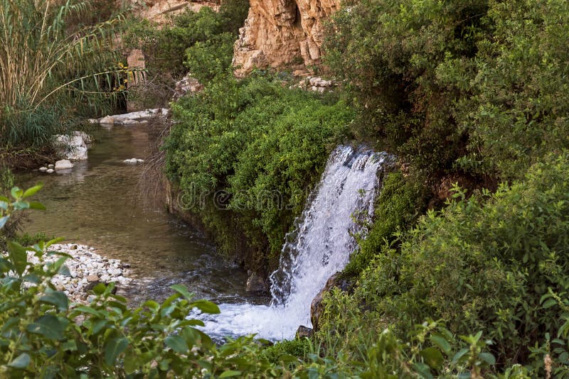Idílica cascada en la primavera de Ein Mabo'a en Wadi Qelt, en el desierto de Judea