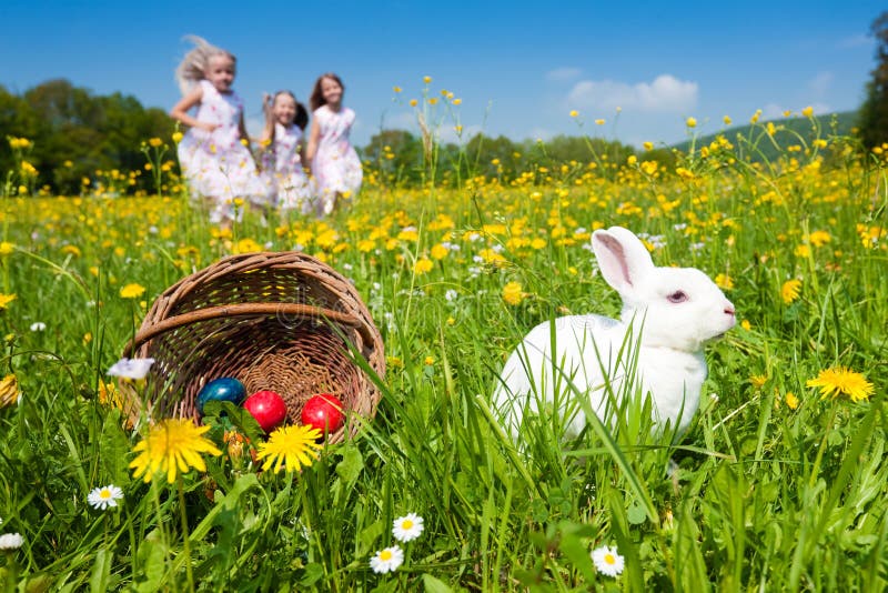Iepurașul de Paști care se uită la vânătoarea de ouă stock photo