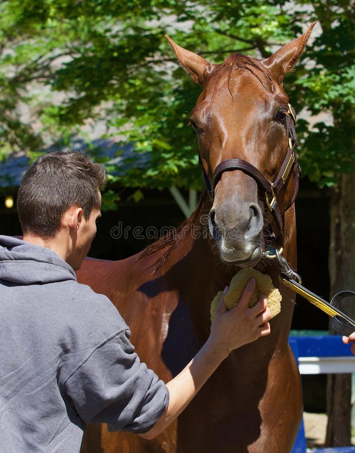 Ierse Danzing door Danza-Irish Ridge stock foto Ierse Danzing door Danza-Irish Ridge stock foto