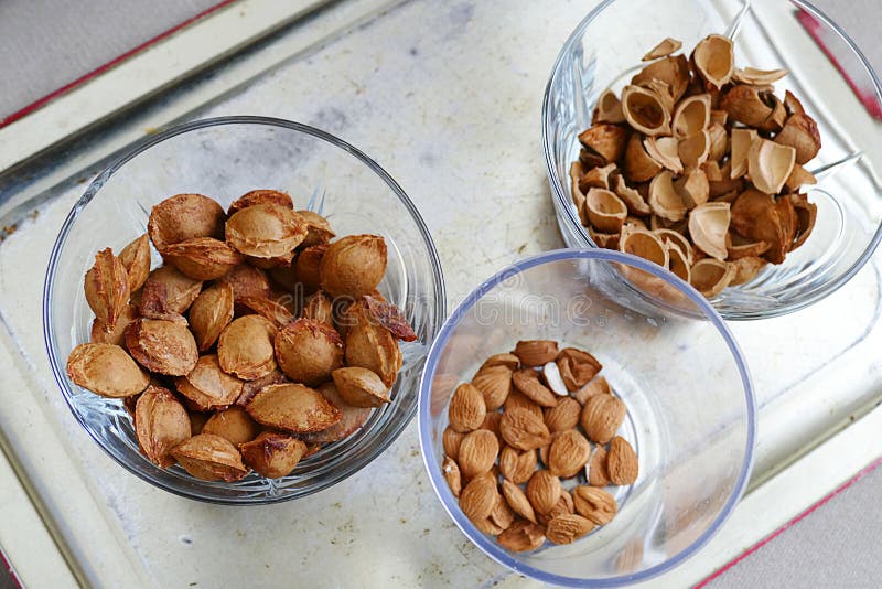 Eat Apricot Kernels in Plates, on Black Ground, Sweet Apricot Seeds