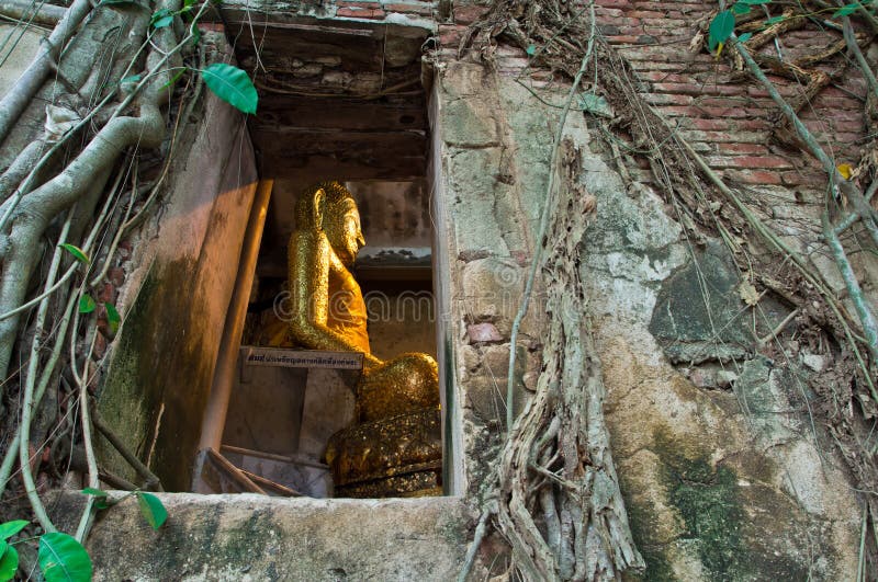 Ancient Buddhist church surrounded by tree root in Thailand, Asia. Ancient Buddhist church surrounded by tree root in Thailand, Asia