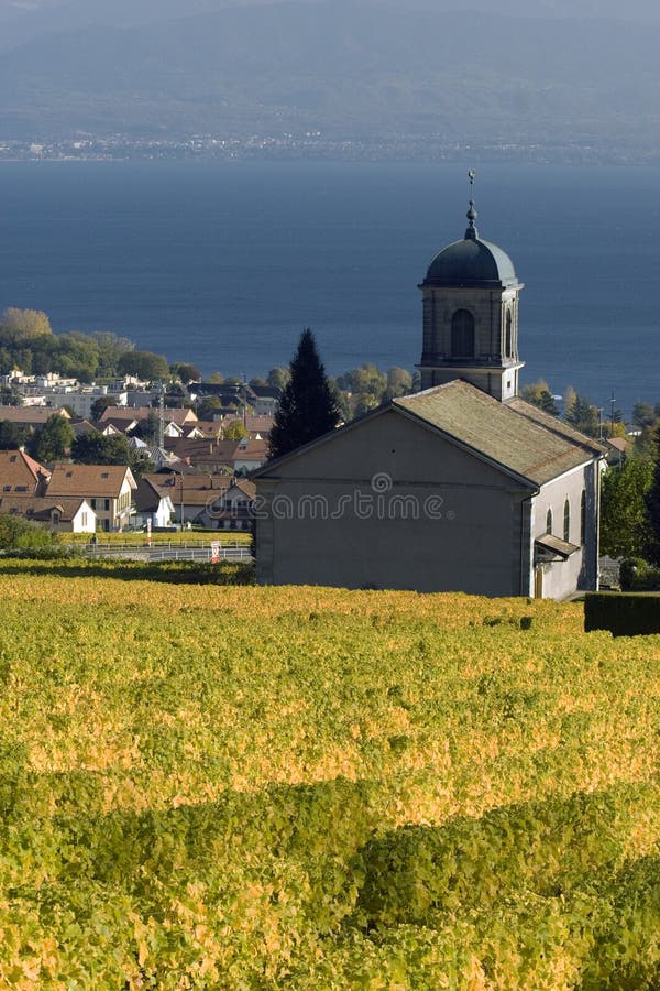 Igreja entre as vinhas imagem de stock