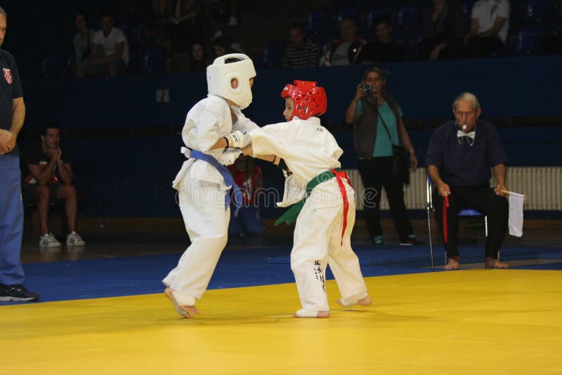 Igualación de los artes marciales fotos de archivo Igualación de los artes marciales fotos de archivo