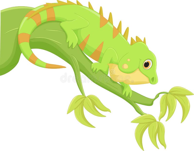Iguana cartoon stock vector. Illustration of jungle, iguana - 70069626