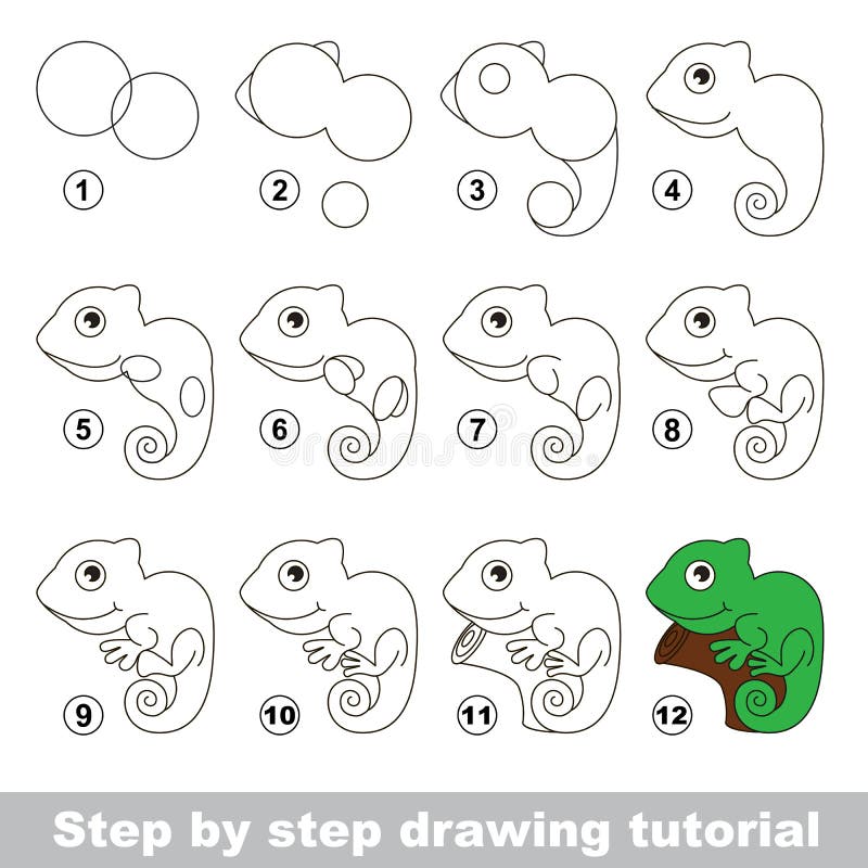 Iguana Esercitazione del disegno