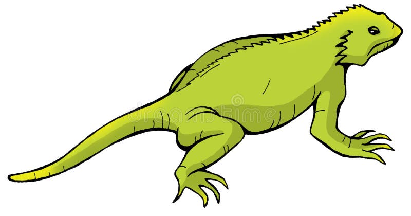 Iguana ilustração do vetor