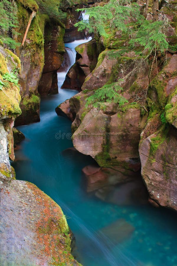 Intense blue glacial melt water rushing through the narrow canyon of Avalanche Gorge, Glacier National Park. Intense blue glacial melt water rushing through the narrow canyon of Avalanche Gorge, Glacier National Park.