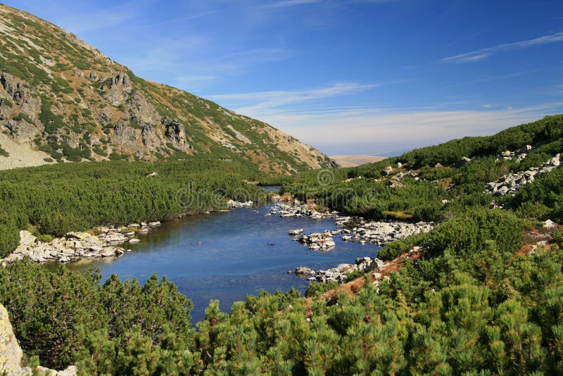Ijzig meer royalty-vrije stock foto