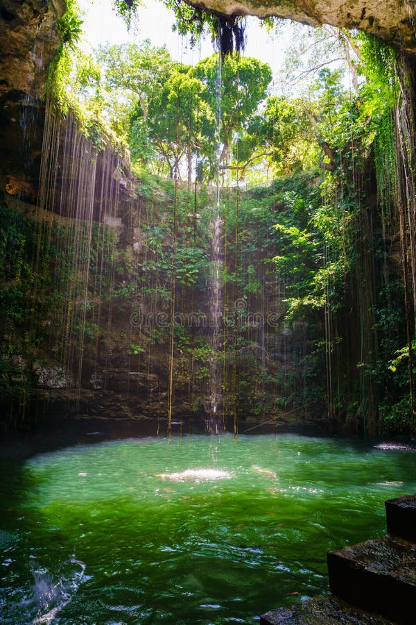 Ik-Kilcenote nahe Chichen Itza, Mexiko Cenote mit transparenten Wasser und hängenden Wurzeln lizenzfreie stockbilder Ik-Kilcenote nahe Chichen Itza, Mexiko Cenote mit transparenten Wasser und hängenden Wurzeln lizenzfreie stockbilder
