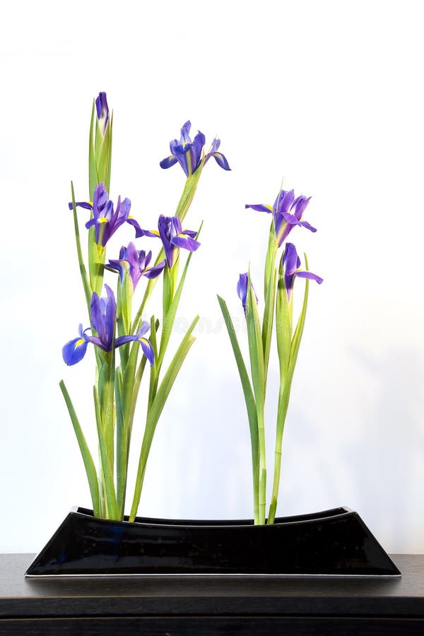 Ikebana con los iris azules, centro de la primavera de flores japonés fotos de archivo libres de regalías Ikebana con los iris azules, centro de la primavera de flores japonés fotos de archivo libres de regalías