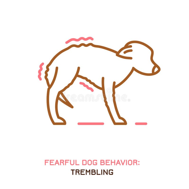 Dog fearful behavior icon. Domestic animal or pet tail language. A trembling dog. Doggy reaction. Simple icon, symbol, sign. Editable vector illustration isolated on white background. Dog fearful behavior icon. Domestic animal or pet tail language. A trembling dog. Doggy reaction. Simple icon, symbol, sign. Editable vector illustration isolated on white background