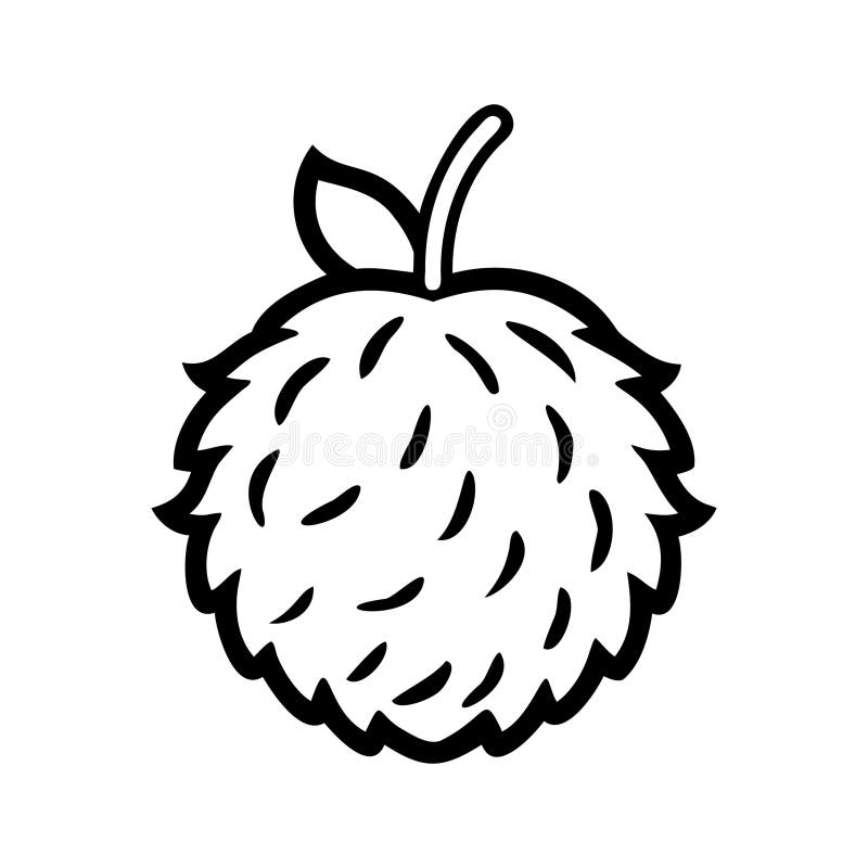 Ikona Lychee. Rysowanie dojrzałego łuku minimalistycznego. ilustracji