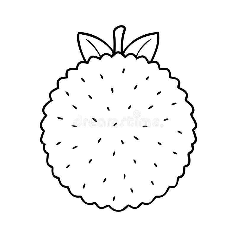 Ikona Lychee. Rysowanie dojrzałego łuku minimalistycznego. royalty ilustracja
