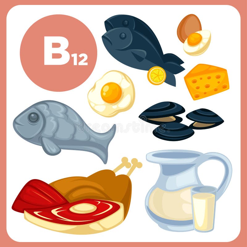 Ikony karmowe z witaminą B12 ilustracji
