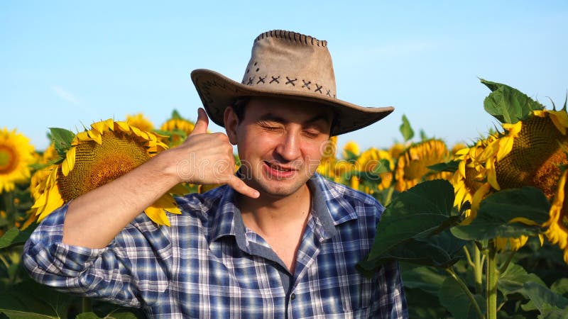 Il bel contadino che mi mostra mi chiama gesto in un campo di girasole. concetto agricolo e naturale